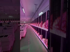 LED Transparente Gitterbildschirm Miete Veranstaltungen Glasvorhang Display Fenster P3.91 bis P7.82