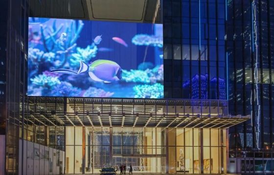 ISO14001 Interaktive kreative transparente Led-Fensteranzeige ODM für Einkaufszentren